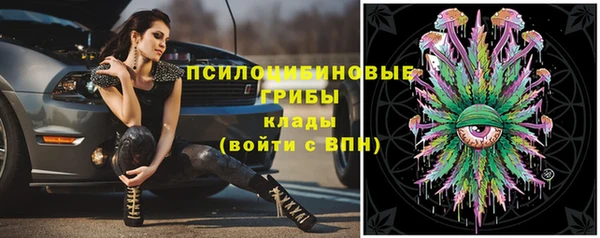 таблы Армянск