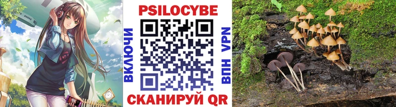 Псилоцибиновые грибы Psilocybine cubensis  Покров 