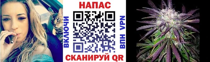 наркошоп  Покров  Канабис сатива 
